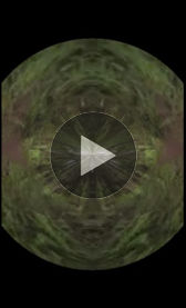 Visualizer